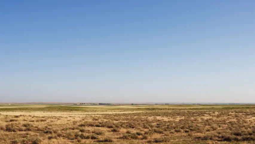 Texas rural land